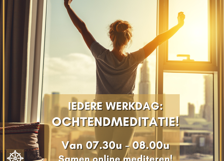 Ochtendmeditaties Recovery Dharma NL: ook in de zomer!