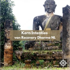 Overzicht van de Kern Intenties van Recovery Dharma NL